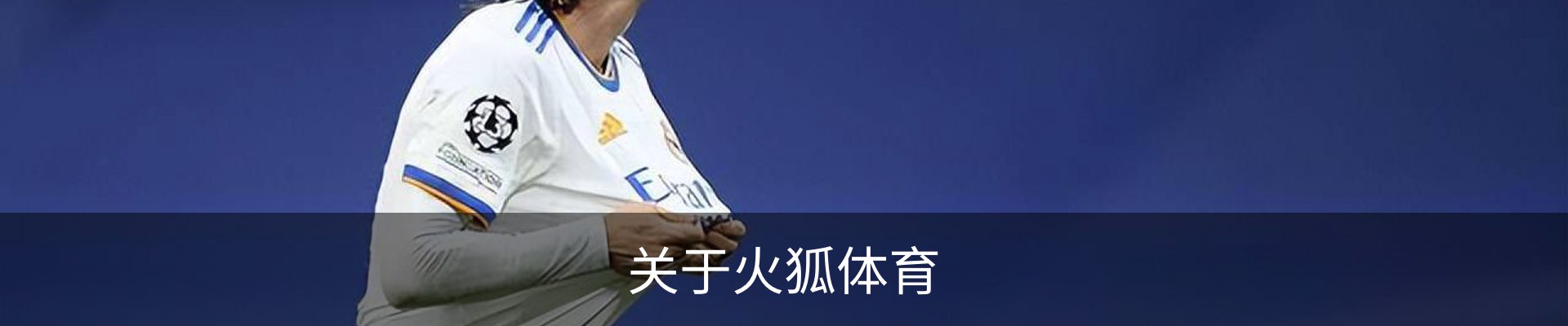 关于火狐体育